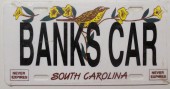 South_Carolina_C